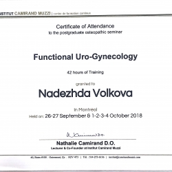Повышение квалификации: "Функциональная уро-гинекология". Canada,  Montreal, октябрь 2018.