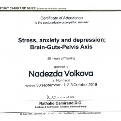 Сертификат о прохождении семинара «Стресс, тревожность и депрессия. Биомиханическая связь ЦНС и ЖКТ». Канада, октябрь 2019