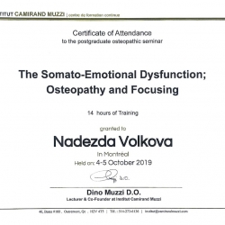 Сертификат о прохождении семинара «Соматоэмоциональные дисфункции». Канада, октябрь 2019