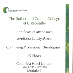 Повышение квалификации: краниальная терапия в колледже Сазерленд.  (Лондон, 2018)