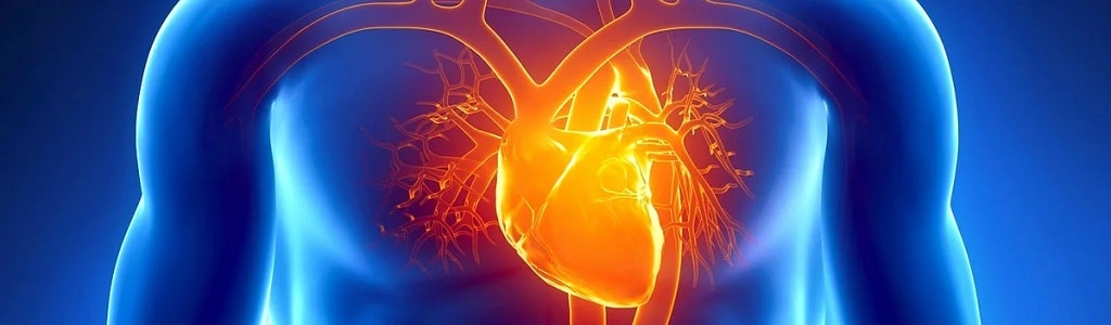Остеопатия при лечении и профилактике сердечно-сосудистых заболеваний